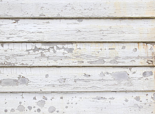 Best Carpet Removal and Disposal  in Morgantown, IN