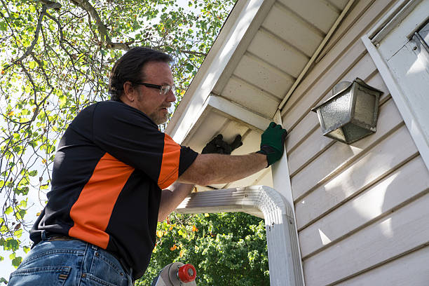 Best Hoarding Cleanup  in Morgantown, IN